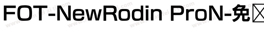 FOT-NewRodin ProN字体转换